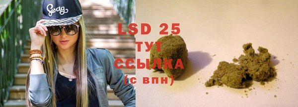 спайс Гусь-Хрустальный